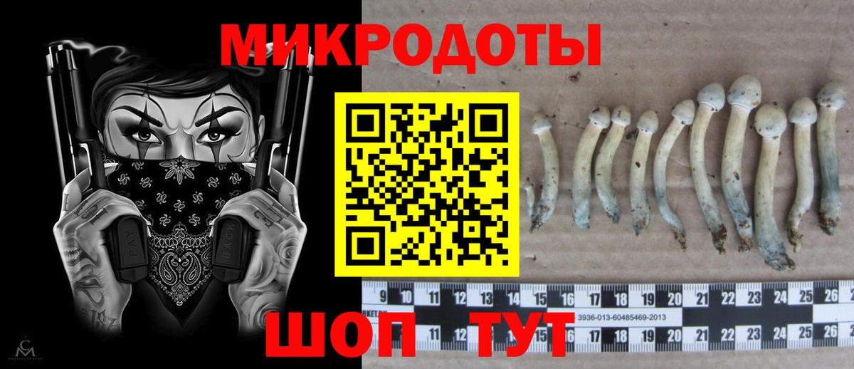 Галлюциногенные грибы мухоморы  купить наркотики цена  Долгопрудный  Вход с VPN 