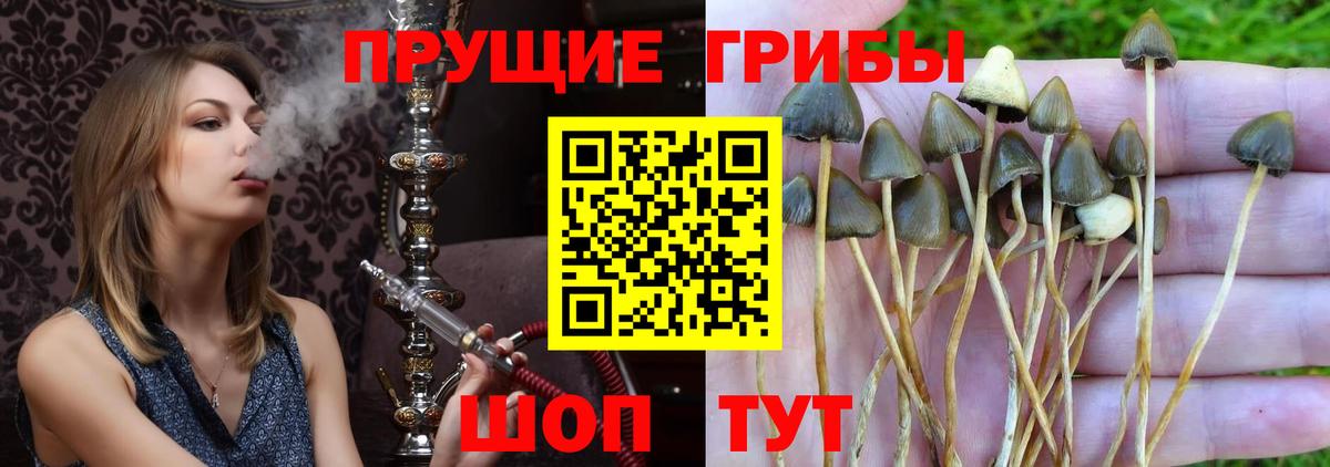 Галлюциногенные грибы MAGIC MUSHROOMS Долгопрудный